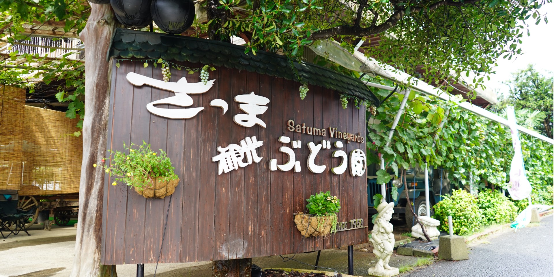 さつま 観光 ぶどう 園